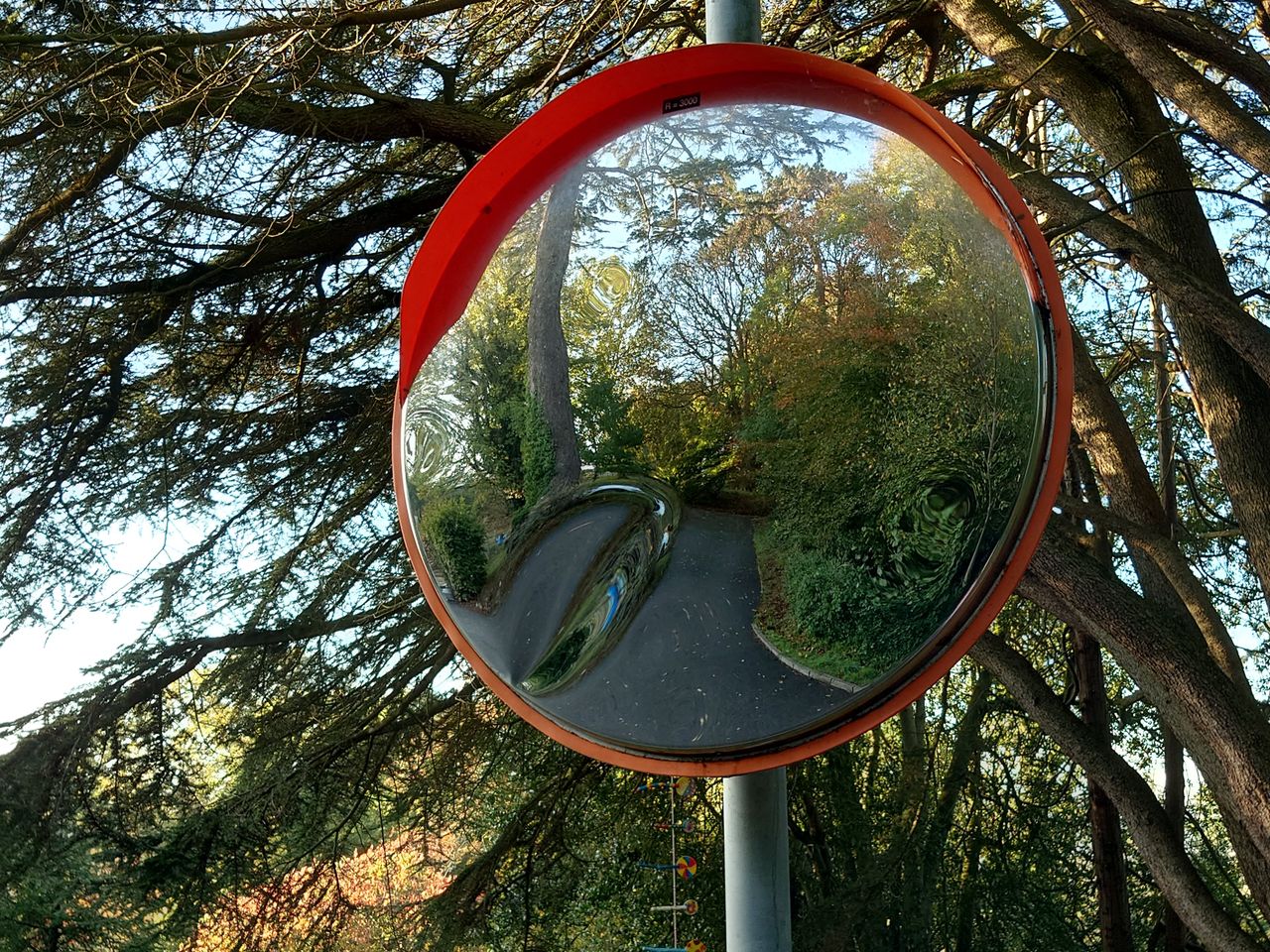 Photo taken with a Sony Xperia 5 IV smartphone camera