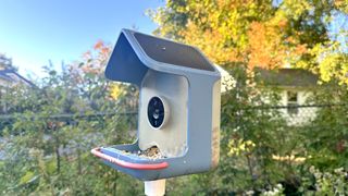 The BirdBuddy Home after 10 months