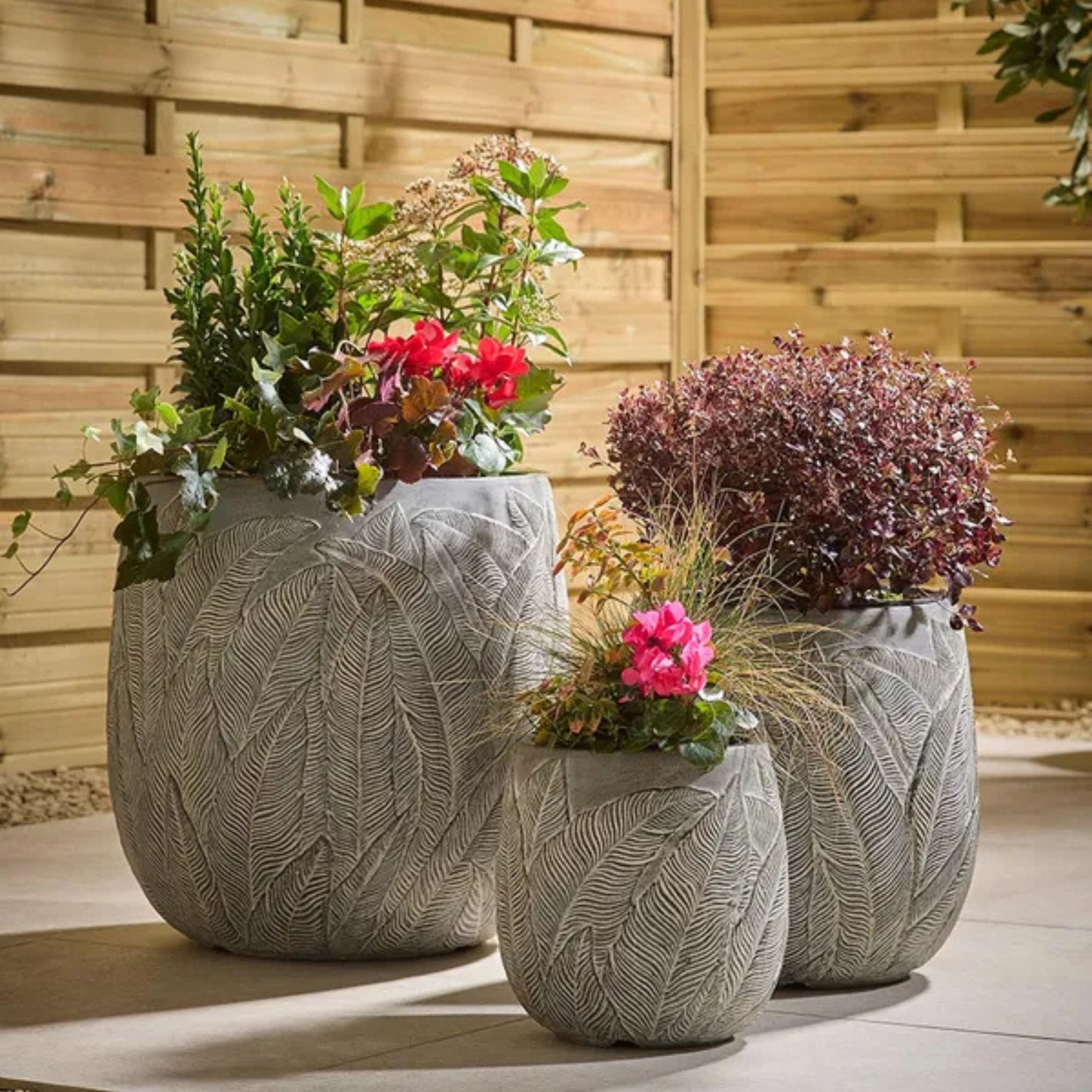 garden planters Cox &amp;amp; Cox