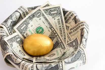 A single golden egg in a nest made from dollar bills isolated on white background.The single egg represents a single investment for the future, usually retirement or a college fund.