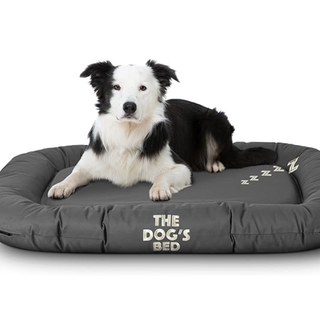 Best dog beds for chewers chosen for indestructibility PetsRadar