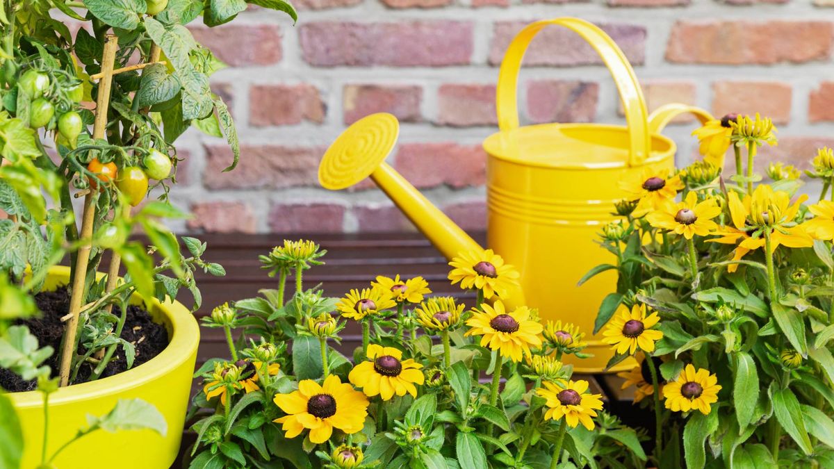 7 Clever Ways to Keep Your Garden Lush and Hydrated While You’re Away (Without Asking the Neighbors!)