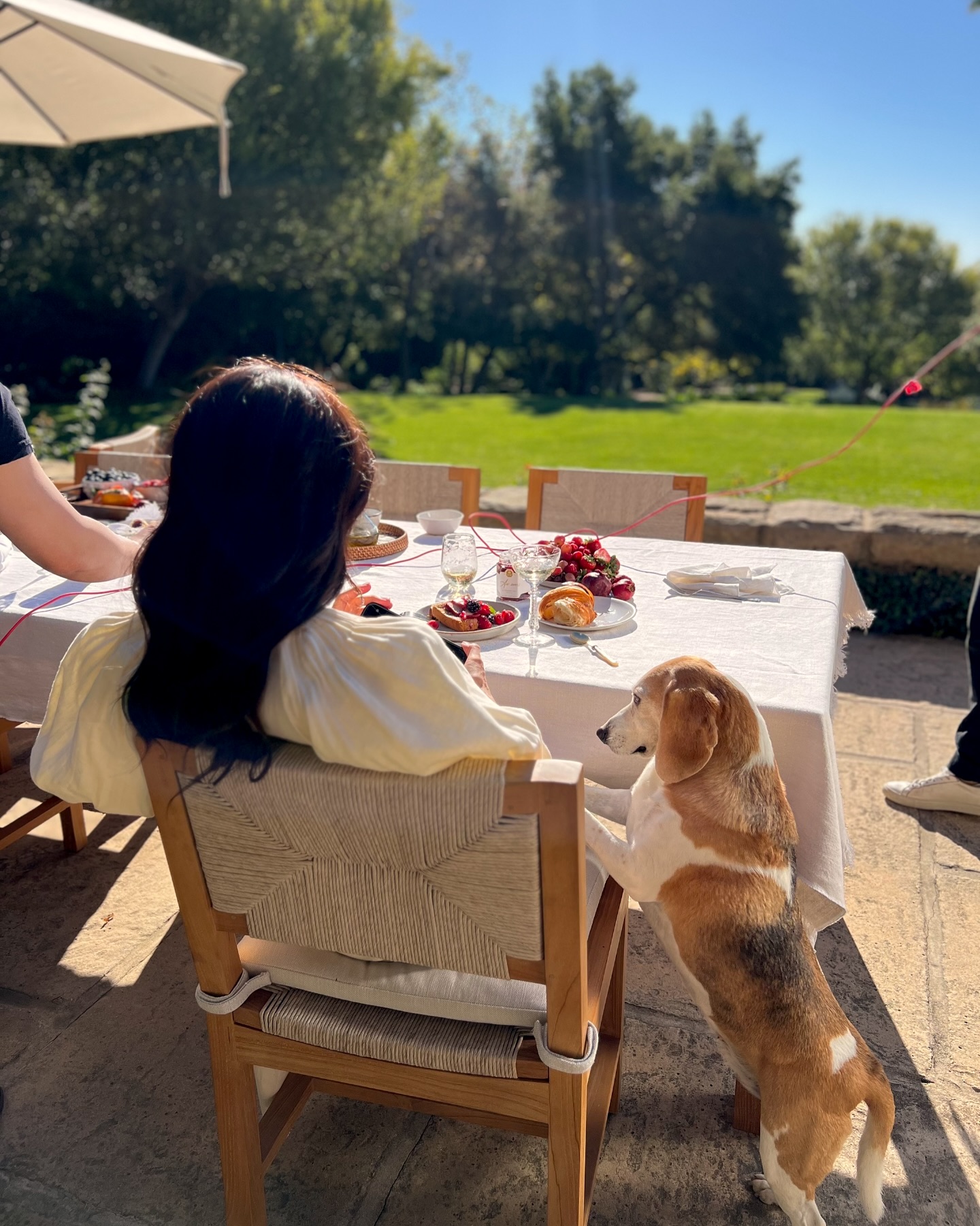 Meghan Markle sitting at a patio table with her beagle standing up on its back legs