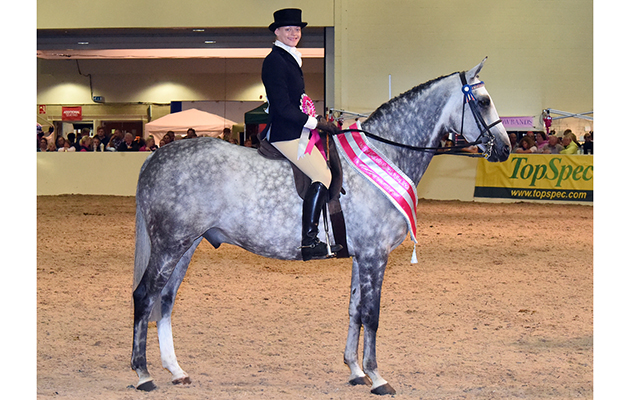 Equifest 2018