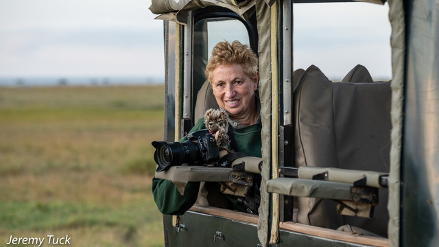 Person holding a camera with a small stuffed animal attached, leaning out of a safari vehicle window in a grassy plain