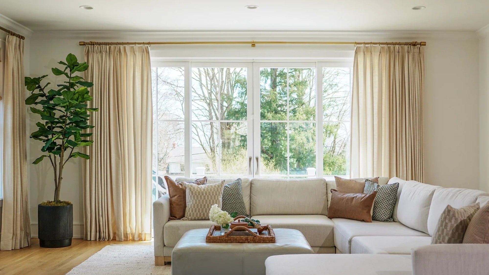 A large living room landscape with sofa and tall house plant