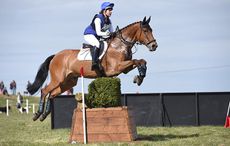 Bolesworth horse death Sligo Luckvalier Ivy Freeman-Attwood