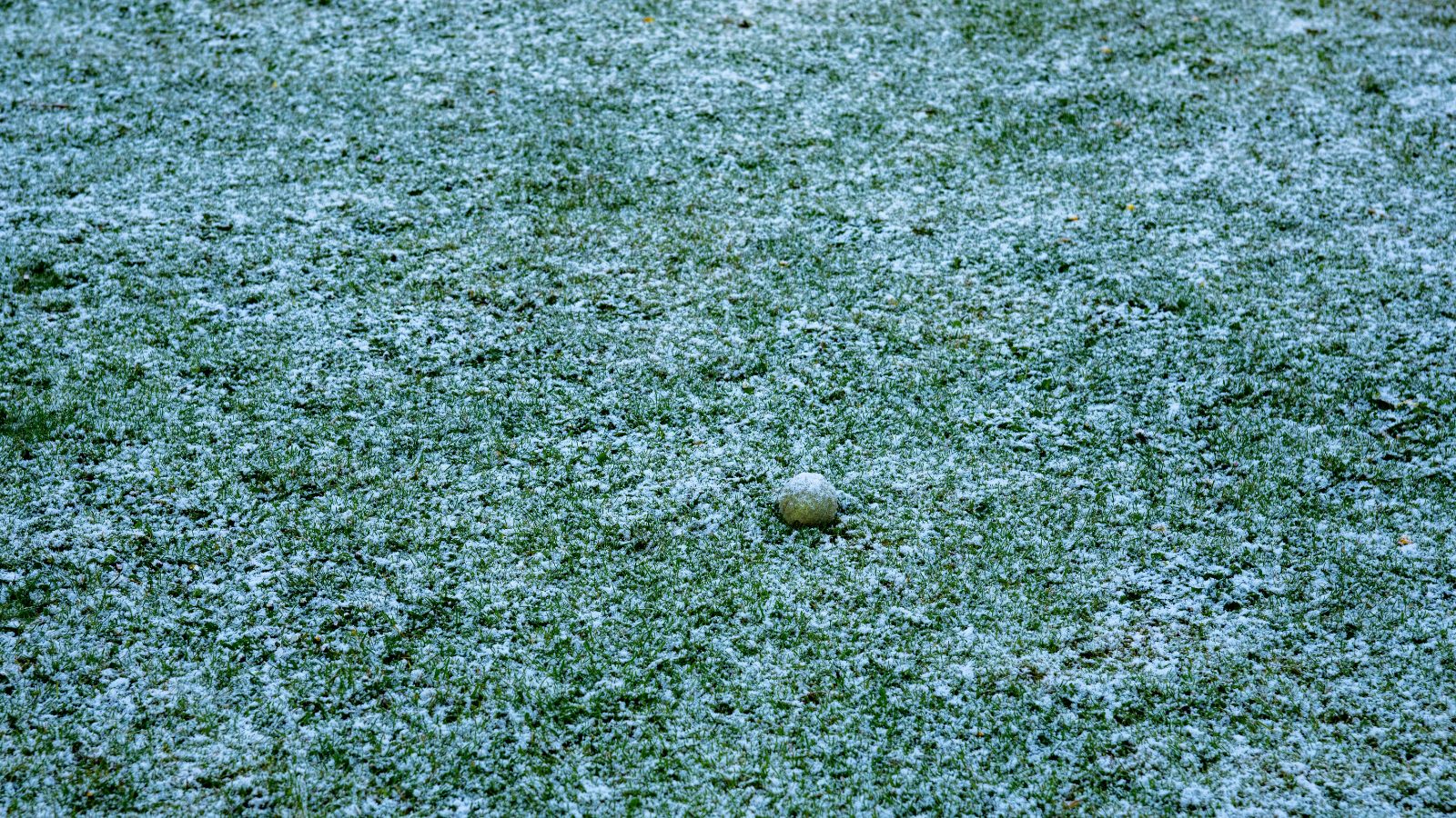 A light dusting of snow on a lawn in a suburban back garden in England.