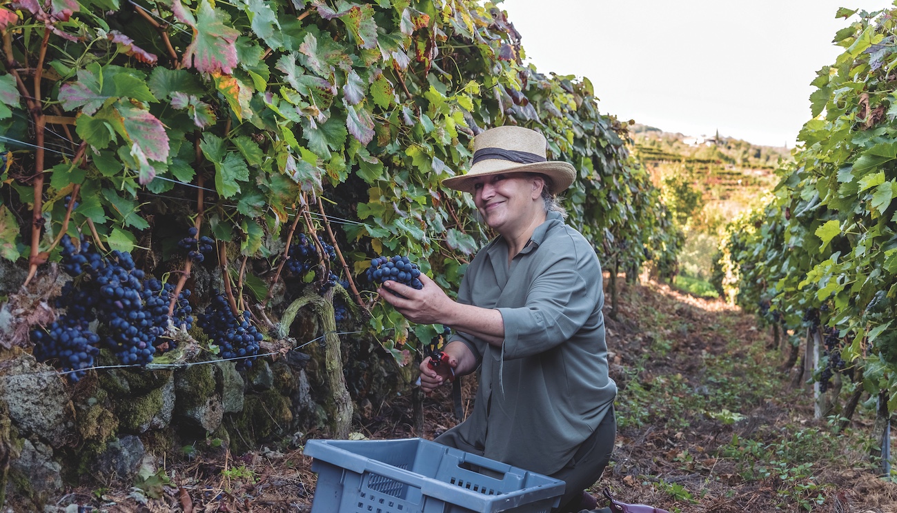 DES316.ribeira_sacra.mari_a_jose_yravedra_credit_guillermo_sotelo_rodri_guez.jpg