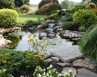 large garden pond with water feature