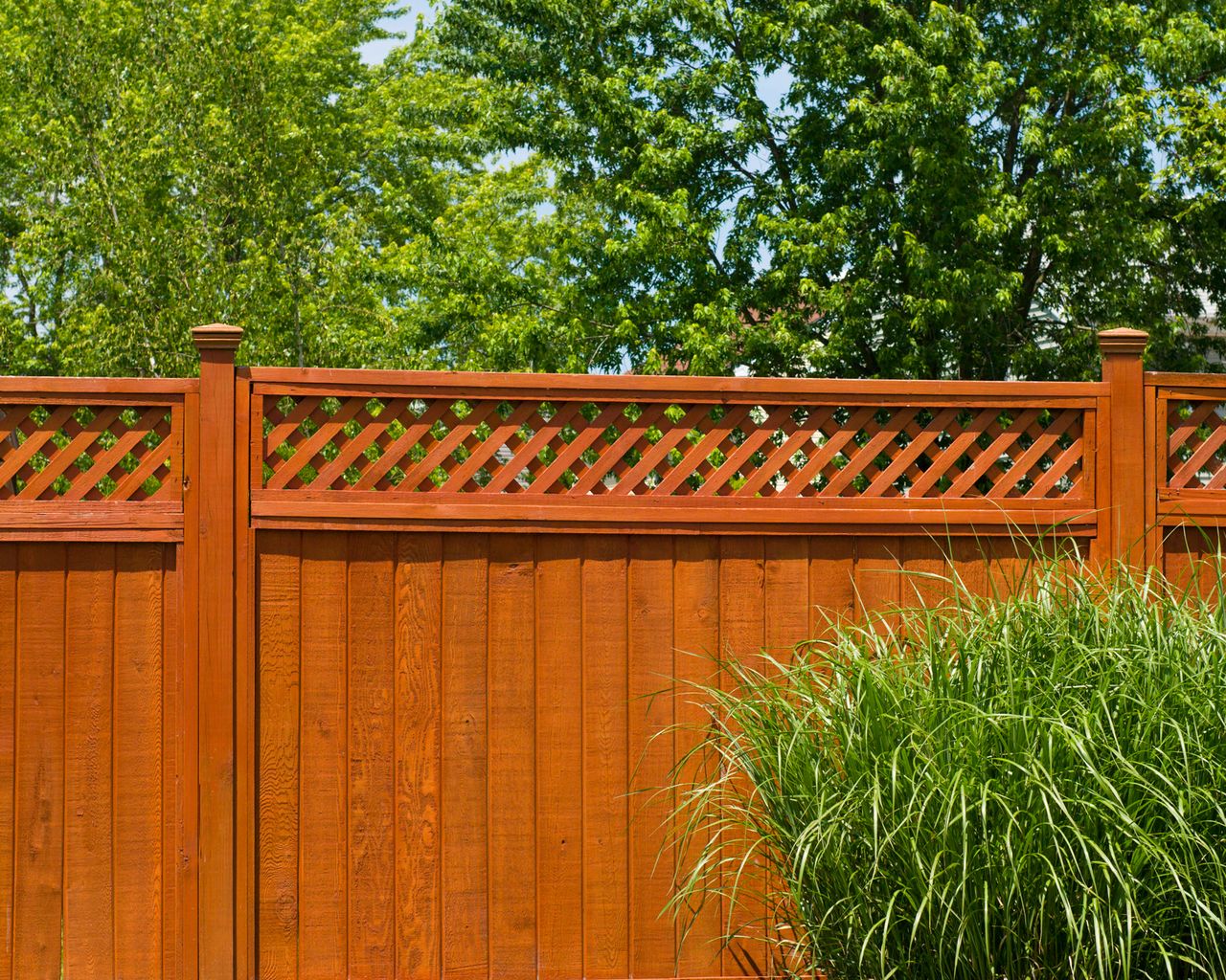 How to clean a wooden fence (even without a pressure washer) Real Homes