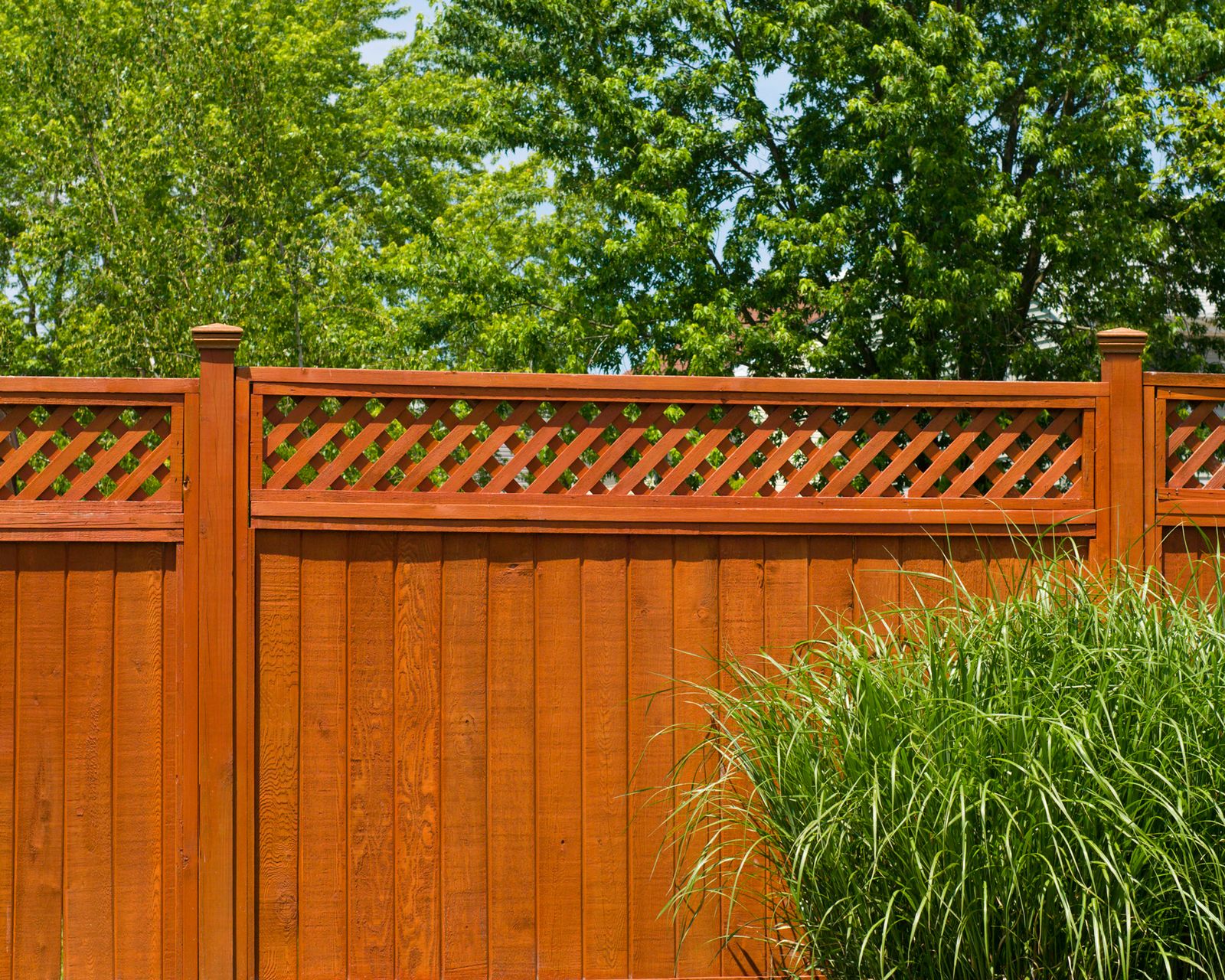 How To Clean A Wooden Fence Even Without A Pressure Washer Real Homes   FuXjjFT4eRNwJZz7kr2eXN 1600 80 