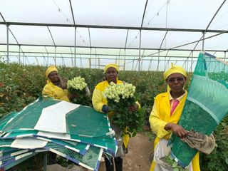 Kenyan flower farmers