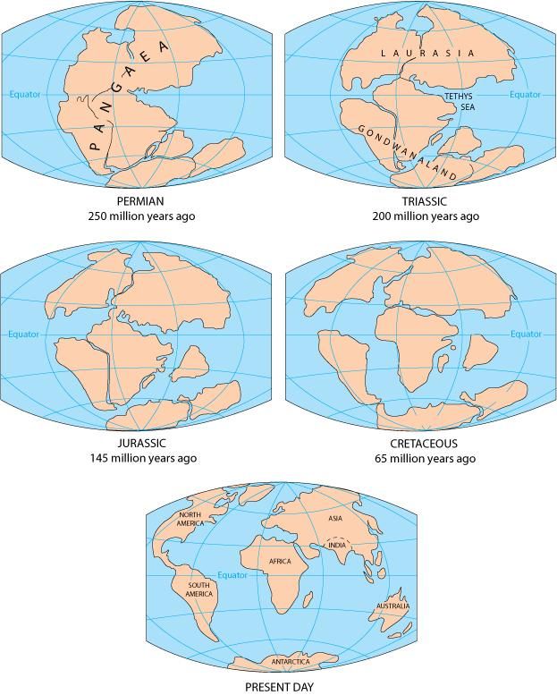 Cretaceous Period Animals Plants And Extinction Event Live Science