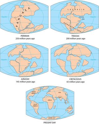 Parts of supercontinent Pangaea eventually drifted apart to become the continents we know today.