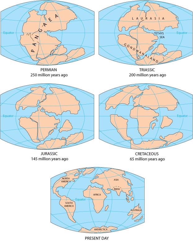 Parts of supercontinent Pangaea eventually drifted apart to become the continents we know today.