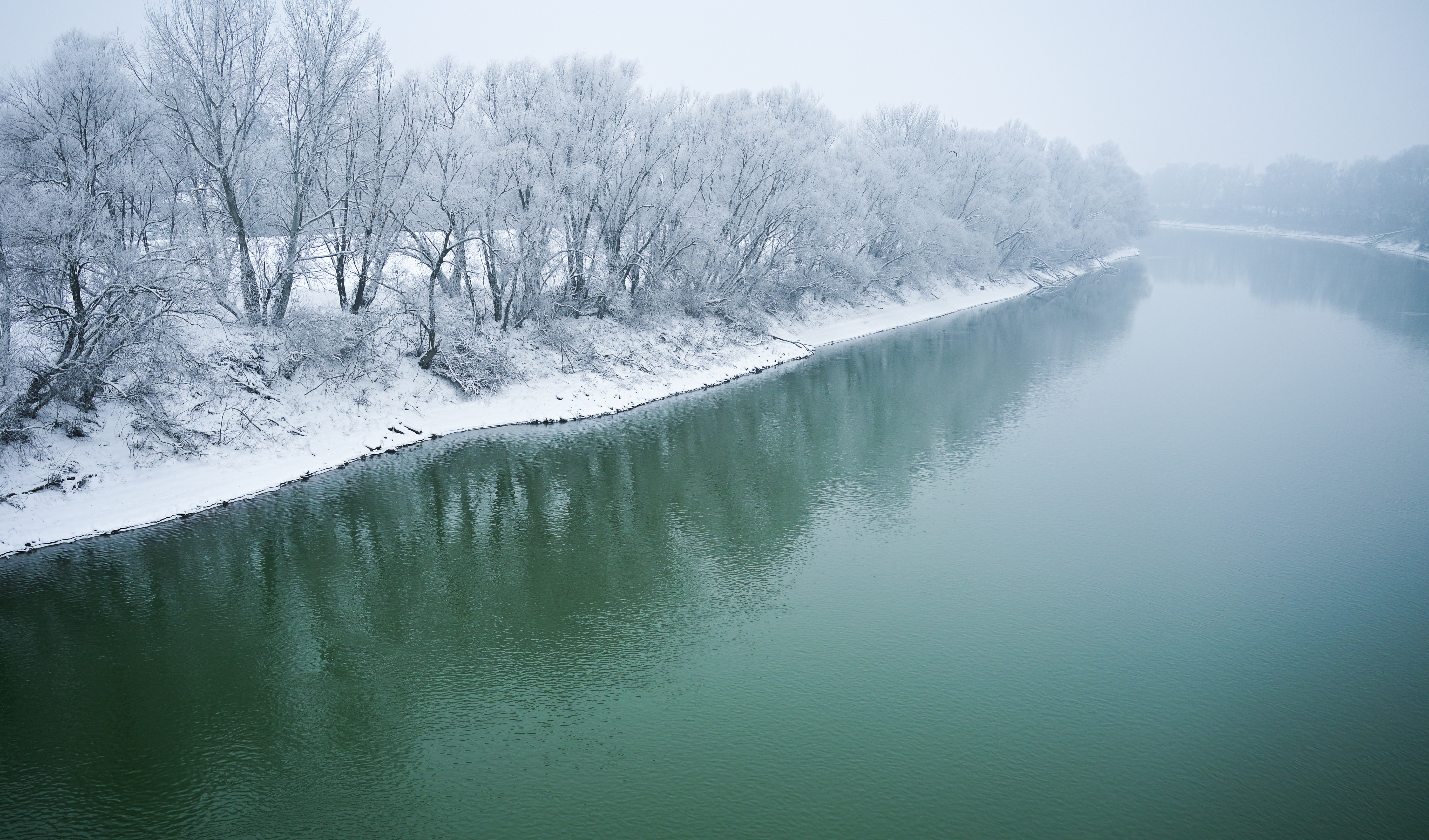 GuruShots - February 2026