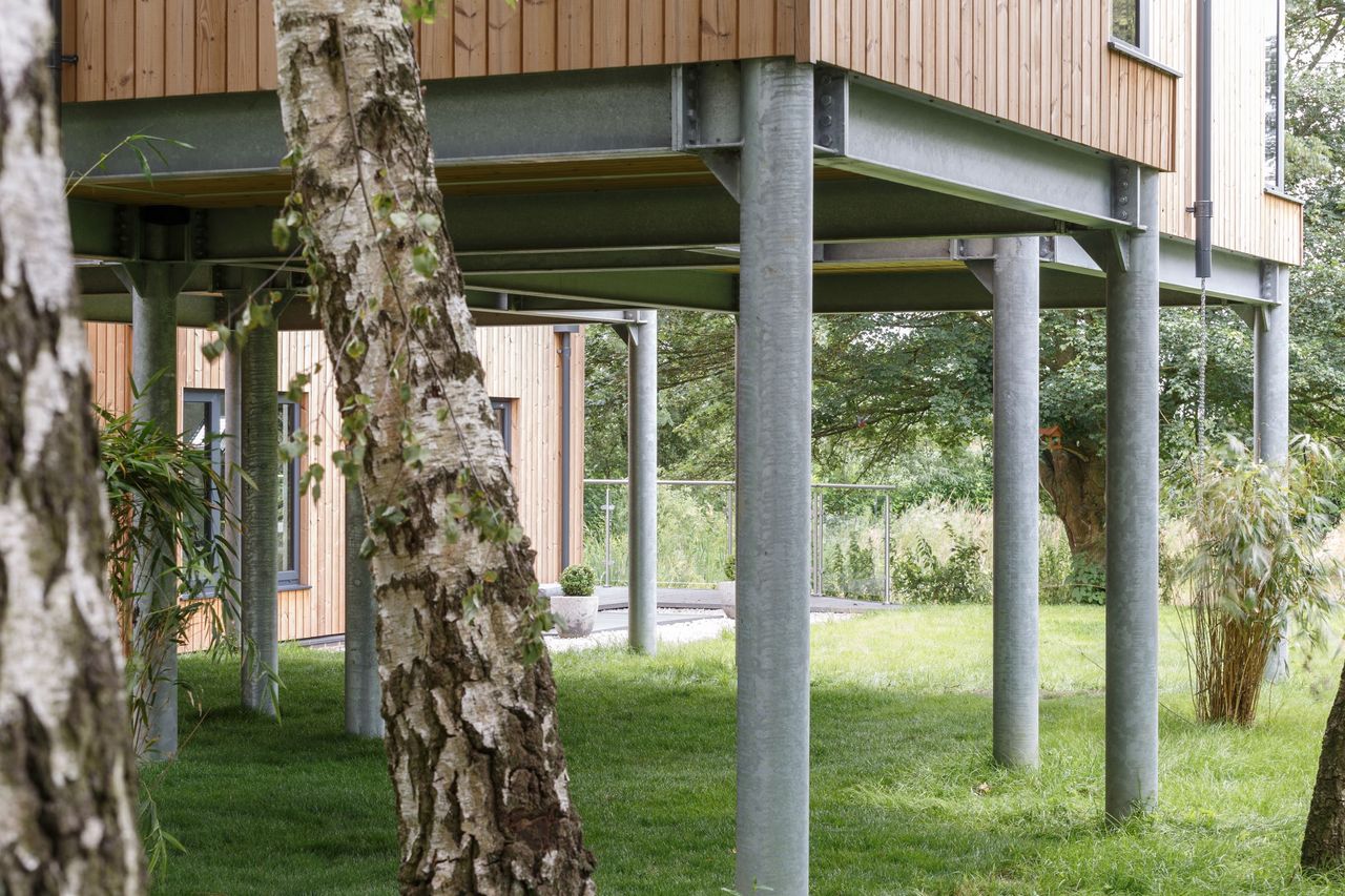 Steel beams supporting the structure surrounded by silver birch trees