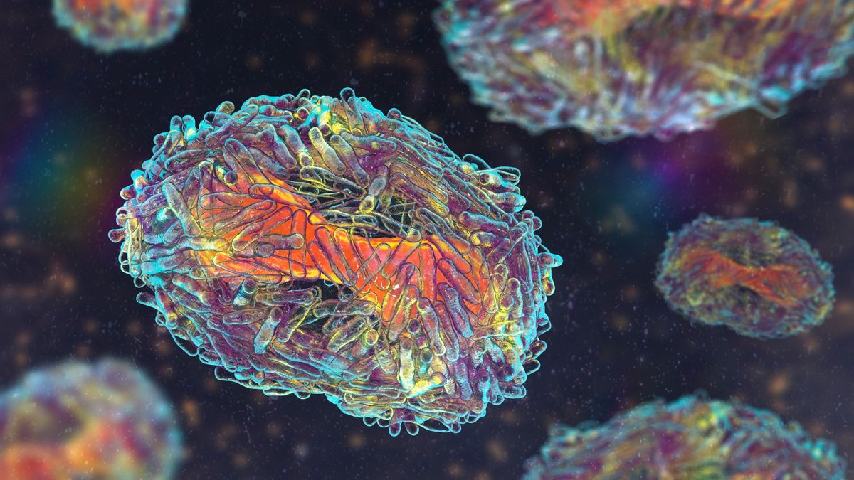 Illustration showing a close up of a monkeypox virus particles.