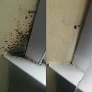 comparison image of a cream wall, image on left with lots of mould in the corner image on right with no mould