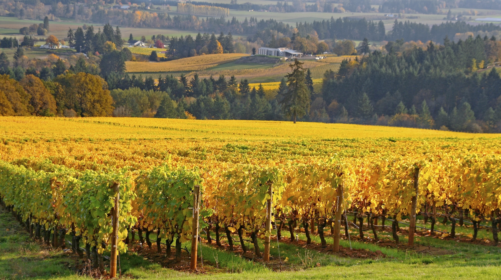 best fall travel destinations