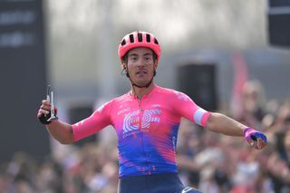 Alberto Bettiol wins the 2019 Tour of Flanders
