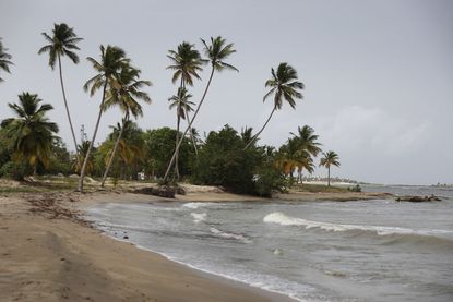 A beach on the Dominican Republic.