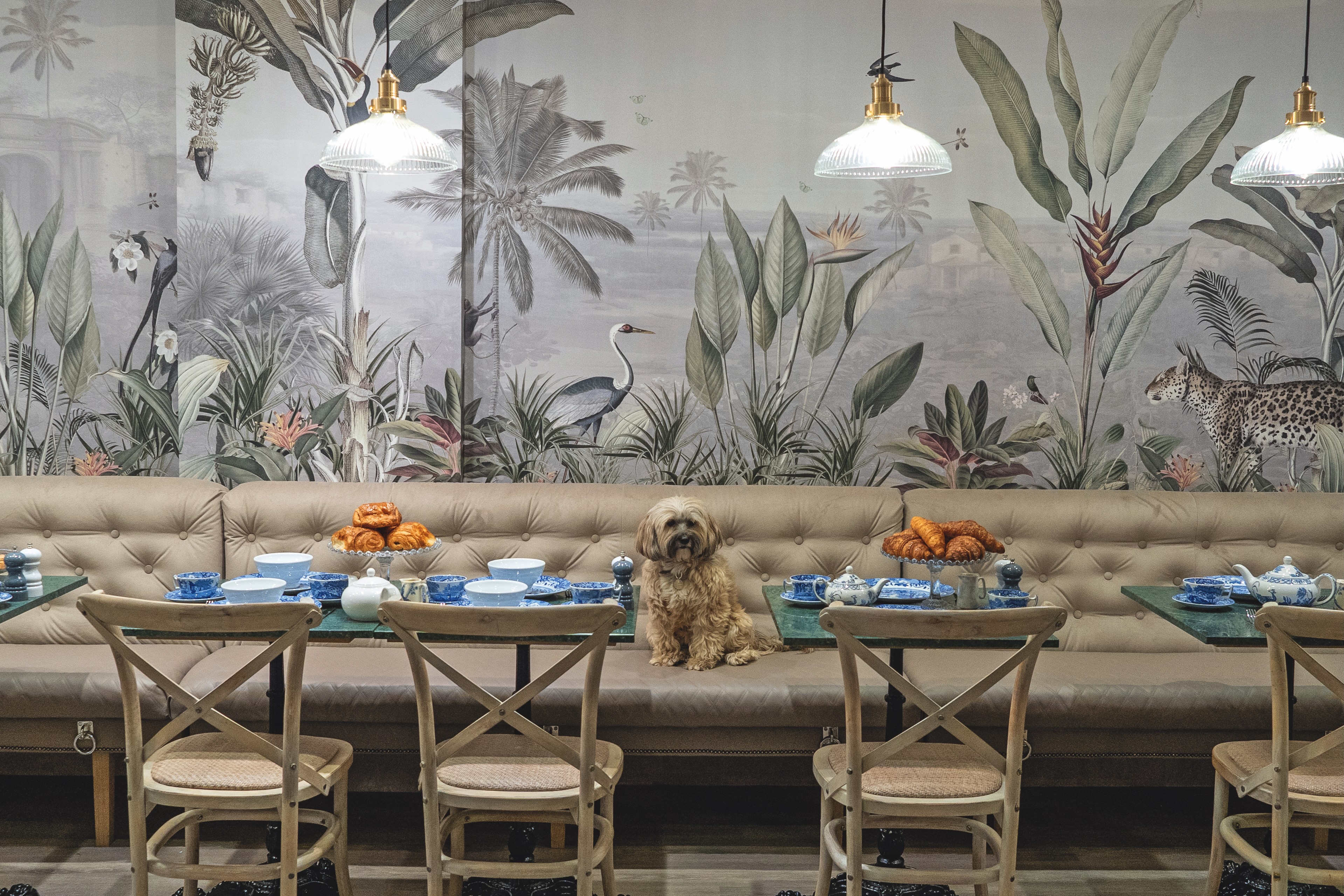 A dog sits at a bunch of tables in a swanky london cafe