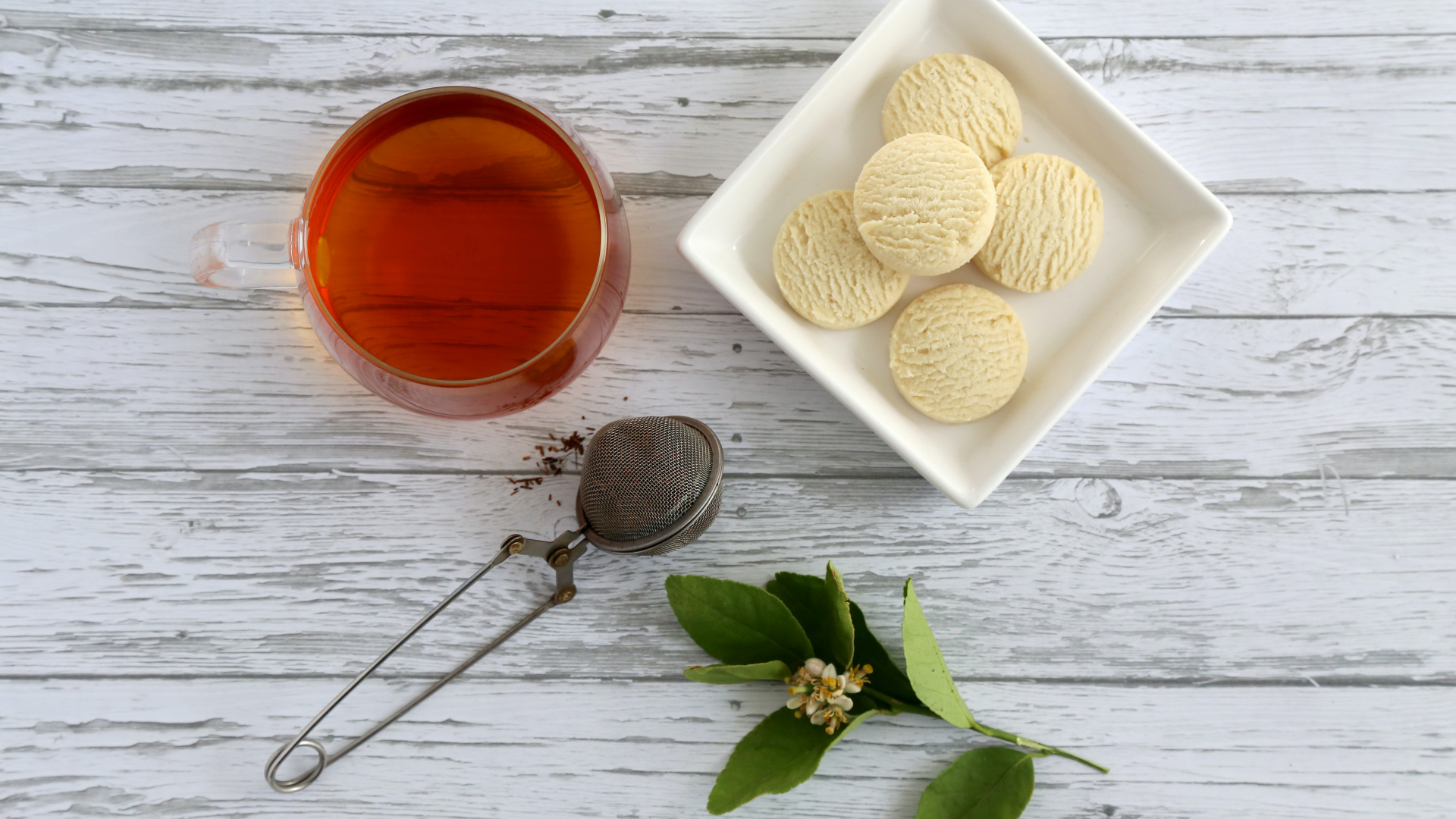 Best tea infuser