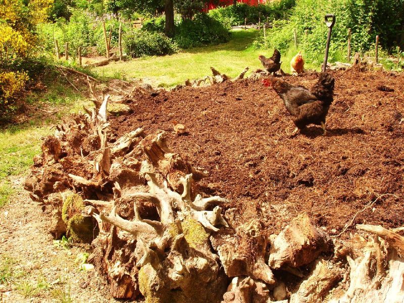 Hugelkultur Garden Bed