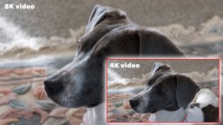 4K vs 8K video