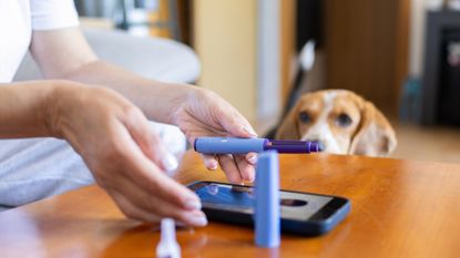 Woman showing a semaglutide pen injection for weight loss and obesity during a video call consultation with a doctor on a mobile phone, with her pet dog watching curiously.