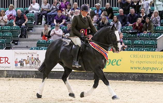1 Cob Ballygar Joker Gillian Purgac C RTI 1[1]
