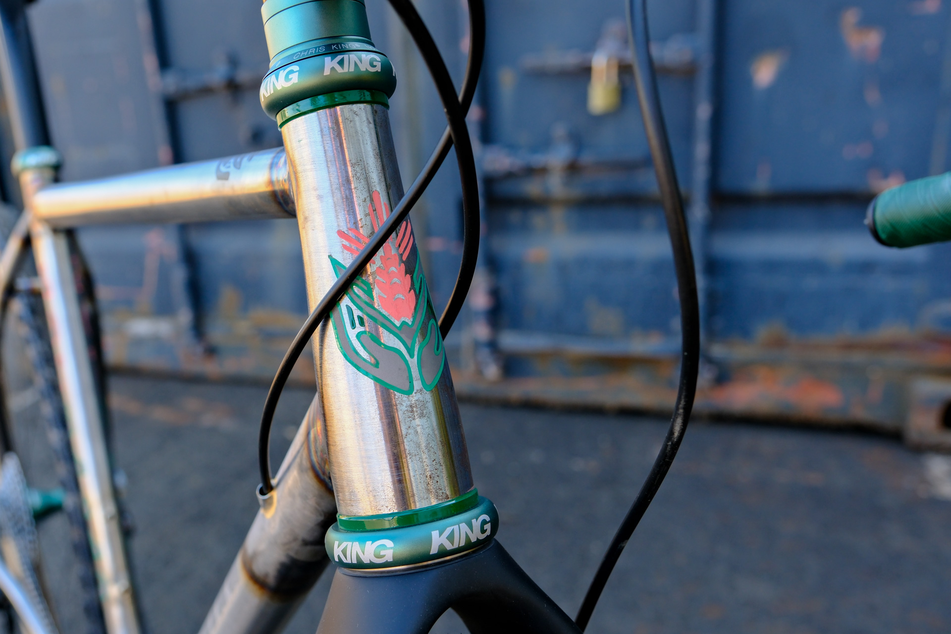 Hot Salad Raw Steel show bike