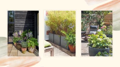 compilation of three gardens with potted planst to highlight the common container gardening mistakes
