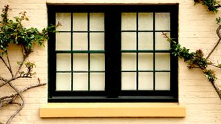black windows with yellow window sill and walls