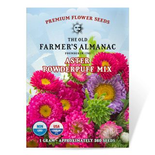 The Old Farmer's Almanac Premium Aster Seeds 