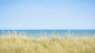 Cisco Beach, Massachusetts