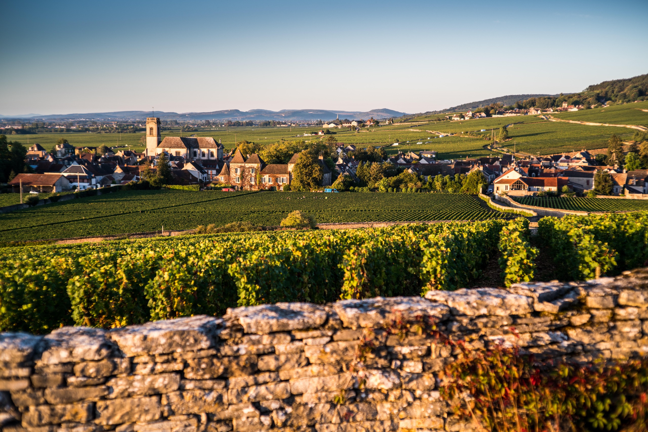 A stone wall in the foreground with a vineyard and small French village in the background