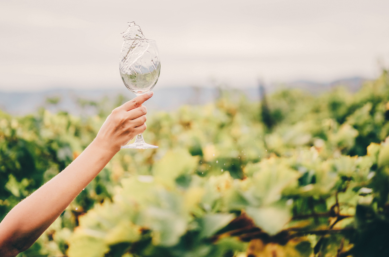 Glass of white wine in the vineyards