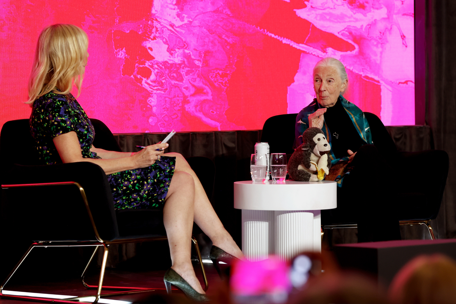 Zoologist Jane Goodall speaking at SXSW