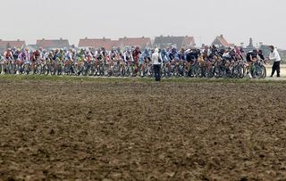 The peloton travels through the Flanders fields.