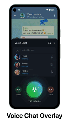 Telegram Voice Chat 2 Overlay