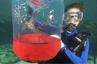 Allison Estape, a dive guide based in Florida, with a bag used for holding captured lionfish.