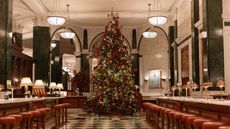 The Ned Christmas tree