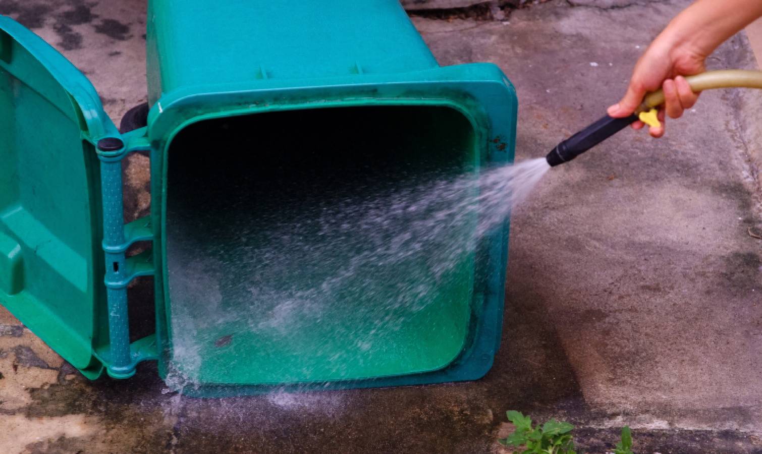 Rinsing out a trash can with a hose