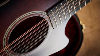 Close up of Taylor 12-string guitars