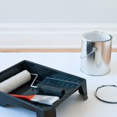 Paint roller and paint pot