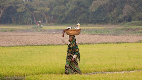 bangladesh women