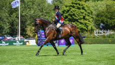 RIHS supreme riding horse championship